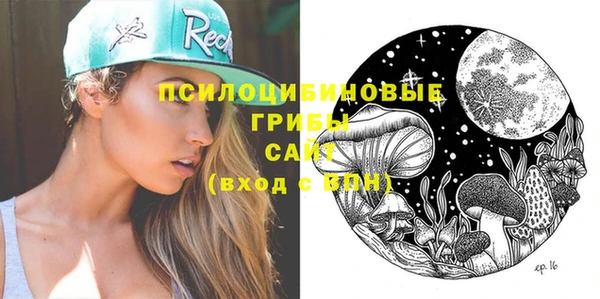 крисы Киренск